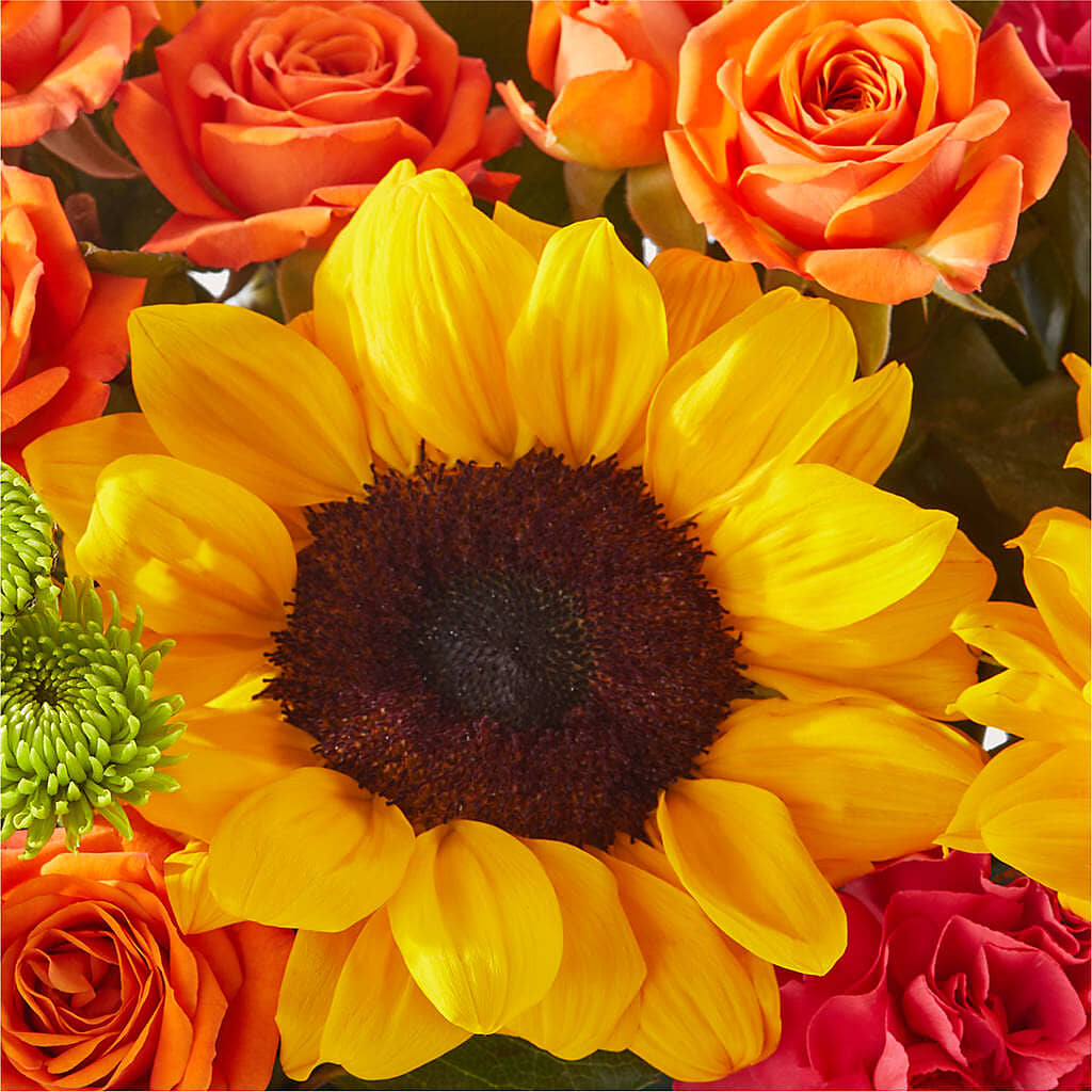 Sun-drenched Blooms Box Bouquet –  Garden Of Eden Florist, San Antonio TX