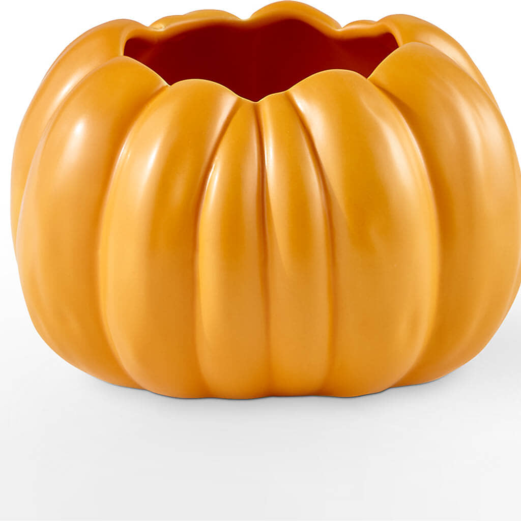 Golden Gourd Pumpkin Bouquet –  Garden Of Eden Florist, San Antonio TX