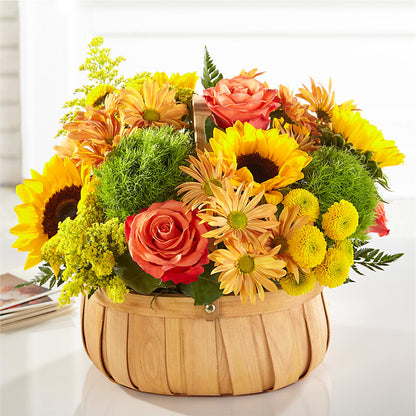 Harvest Sunflower Basket –  Garden Of Eden Florist, San Antonio TX