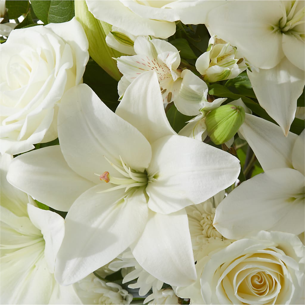 Peaceful Reflections Arrangement –  Garden Of Eden Florist, San Antonio TX