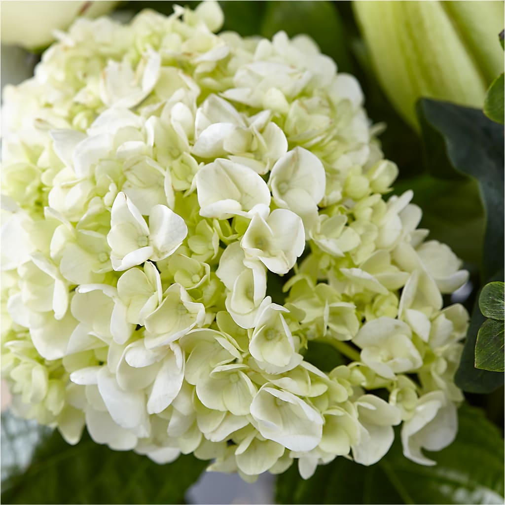 Classic Ivory – A Florist Original –  Garden Of Eden Florist, San Antonio TX