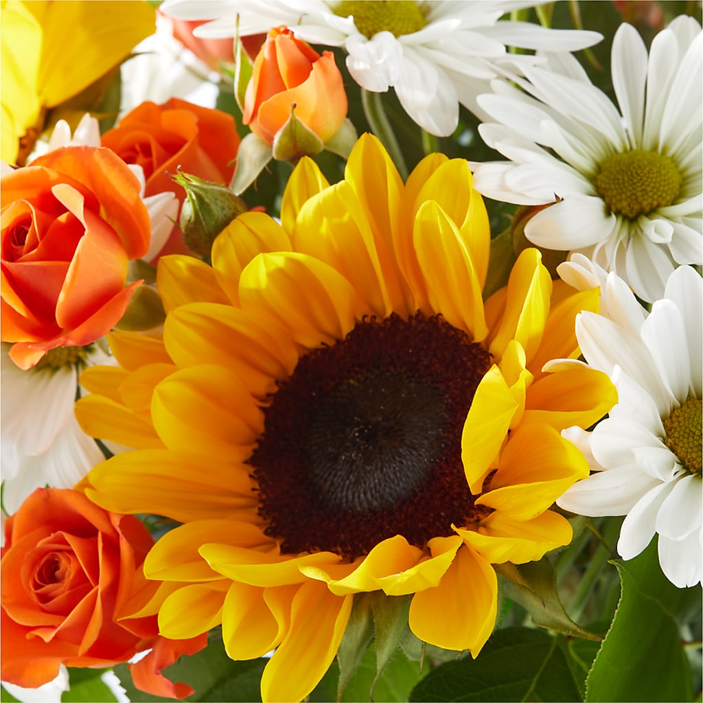 Sun-drenched Blooms Bouquet –  Garden Of Eden Florist, San Antonio TX