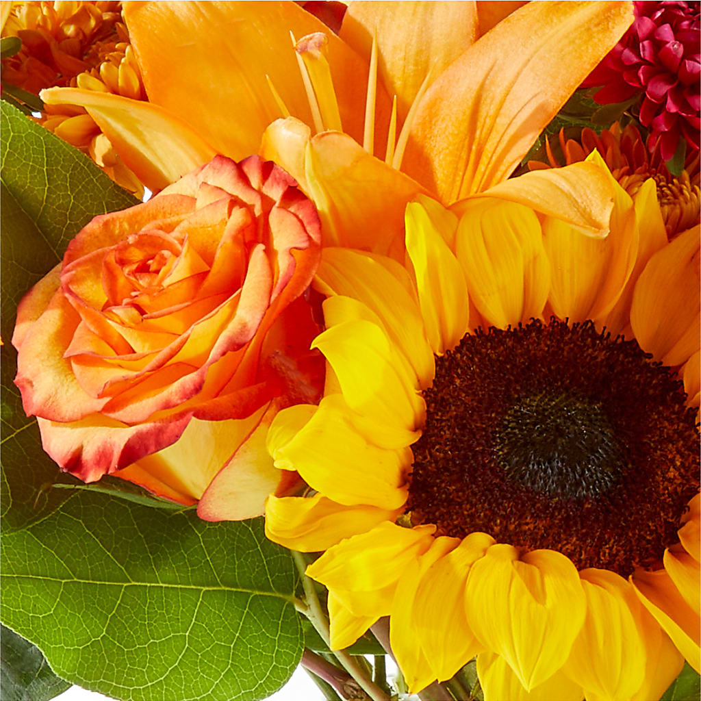 Fall Day Bouquet –  Garden Of Eden Florist, San Antonio TX