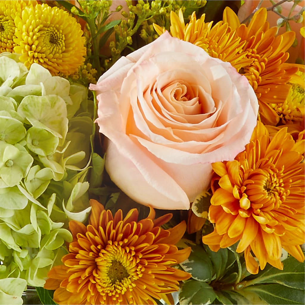 Fall Foliage Bouquet –  Garden Of Eden Florist, San Antonio TX
