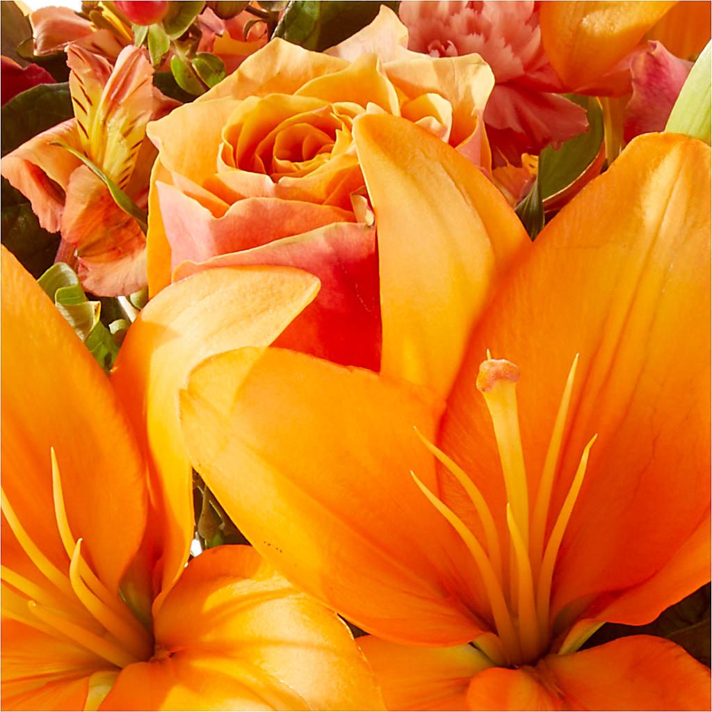 Afternoon Light Bouquet –  Garden Of Eden Florist, San Antonio TX