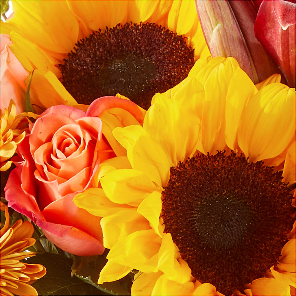 Acorn Lane Bouquet –  Garden Of Eden Florist, San Antonio TX
