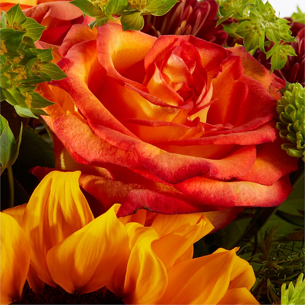 Harvest Festival Bouquet –  Garden Of Eden Florist, San Antonio TX