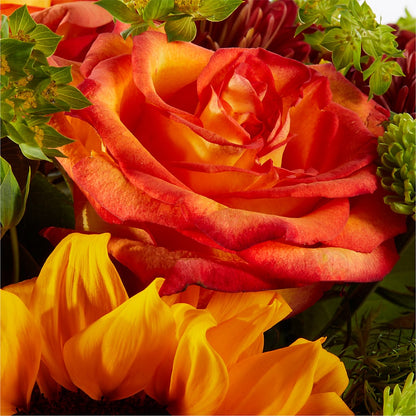 Harvest Festival Bouquet –  Garden Of Eden Florist, San Antonio TX