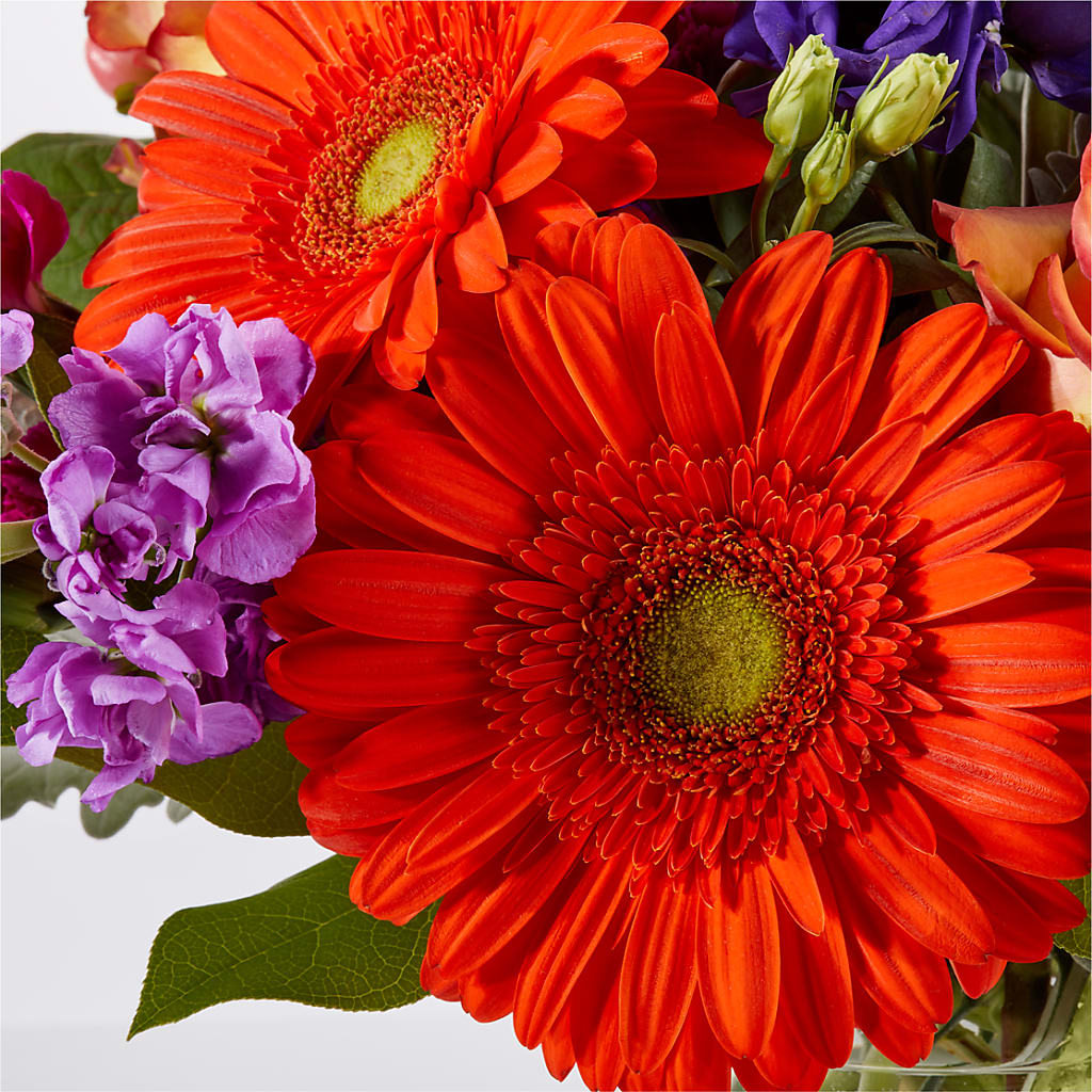 Sangria Bouquet –  Garden Of Eden Florist, San Antonio TX