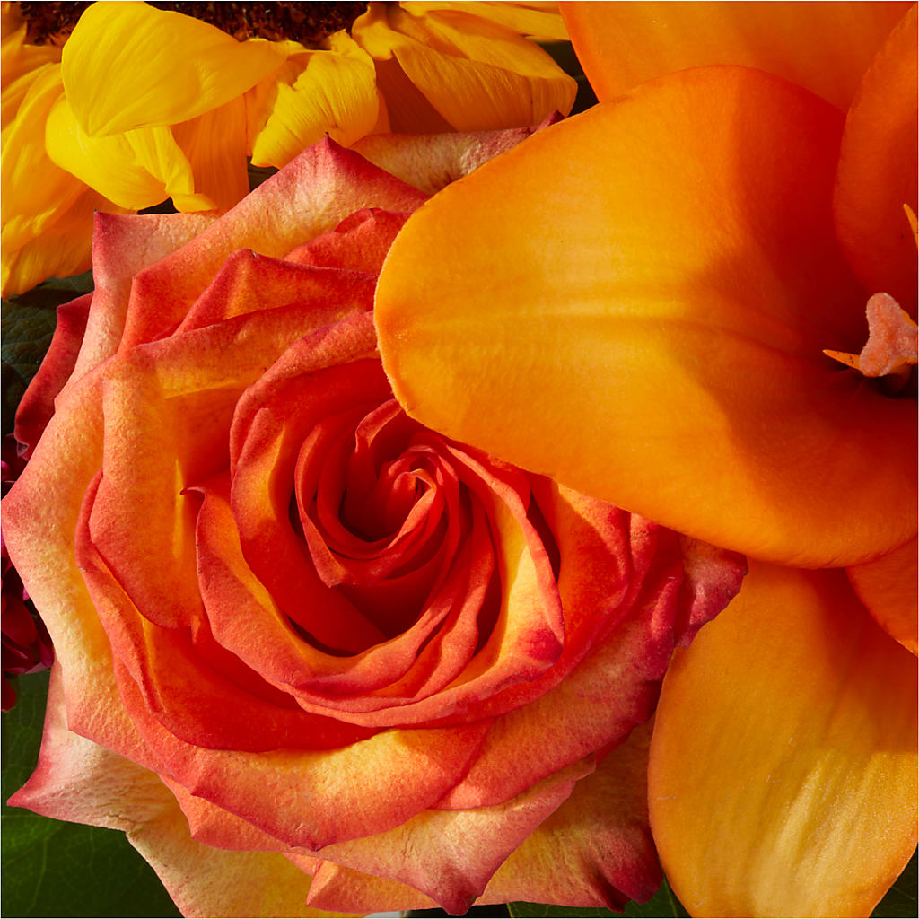 Grateful Centerpiece –  Garden Of Eden Florist, San Antonio TX