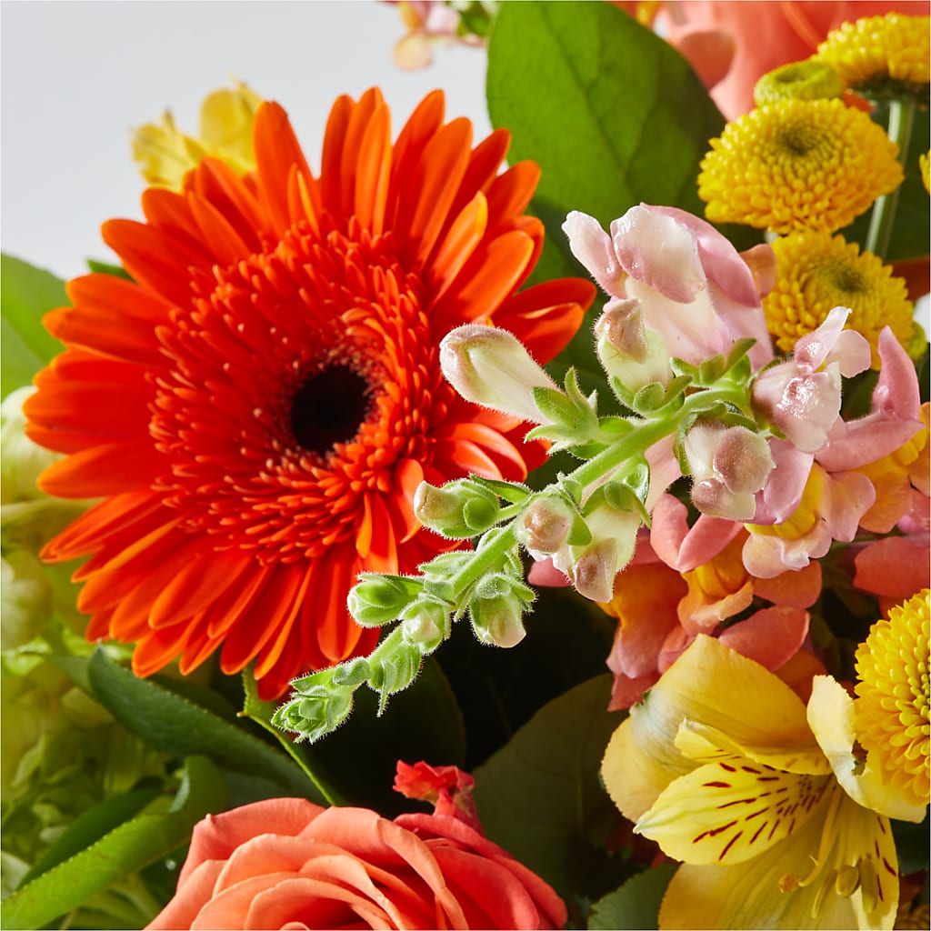 Autumn Sunshine Bouquet –  Garden Of Eden Florist, San Antonio TX