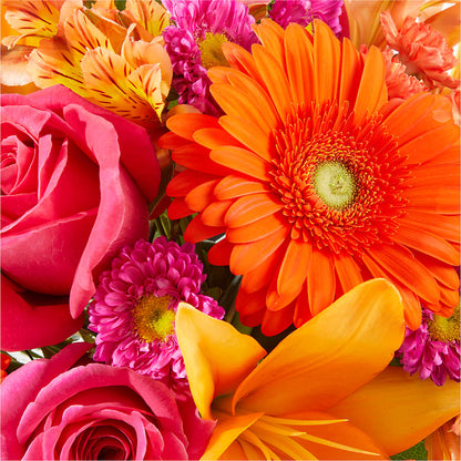 Soiree Bouquet –  Garden Of Eden Florist, San Antonio TX