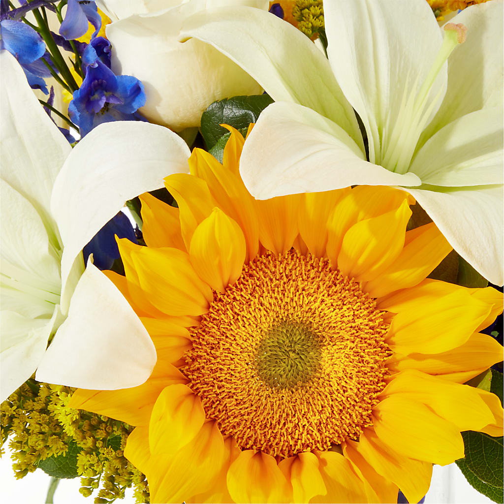 Stargazing Bouquet –  Garden Of Eden Florist, San Antonio TX