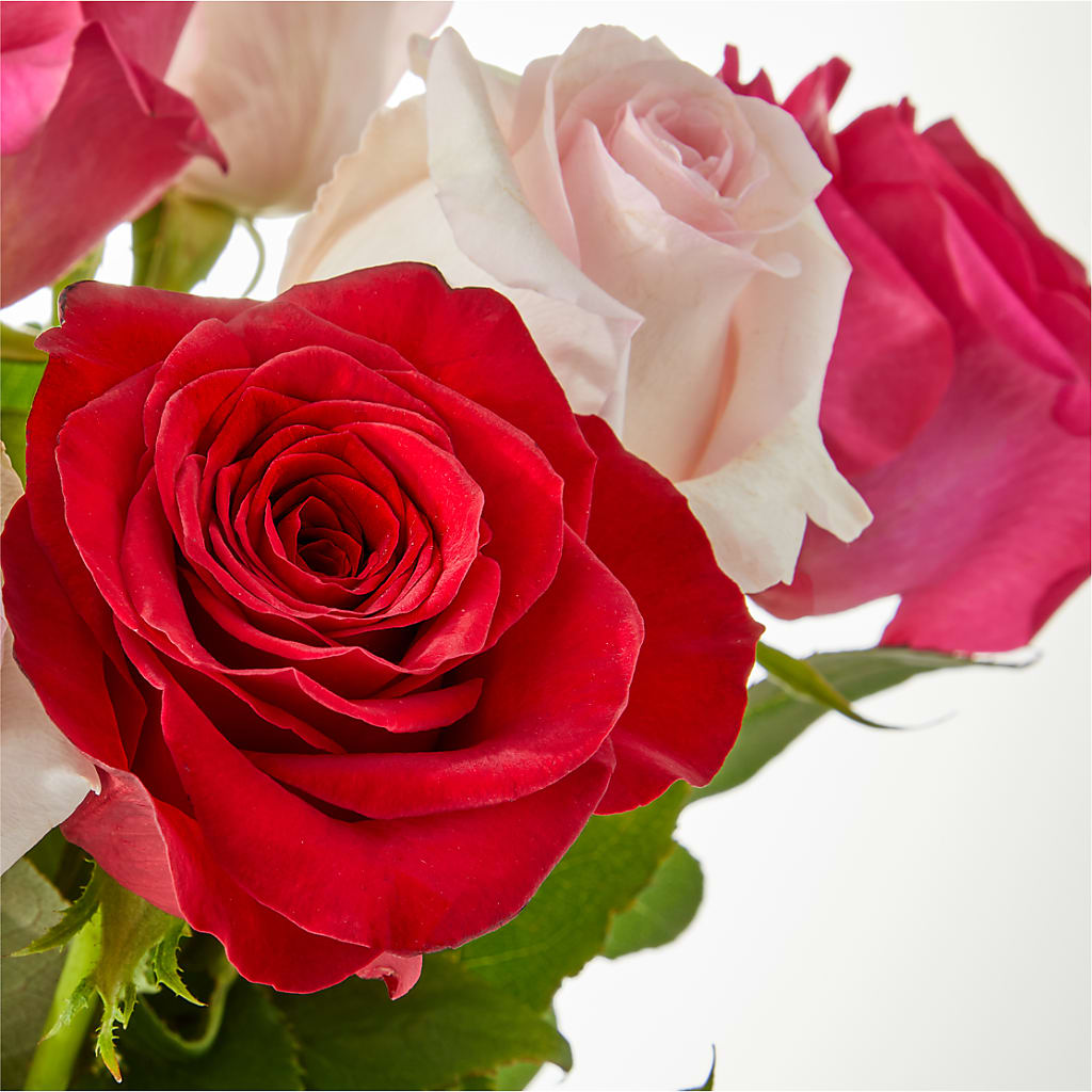 Charming Rose Bouquet –  Garden Of Eden Florist, San Antonio TX
