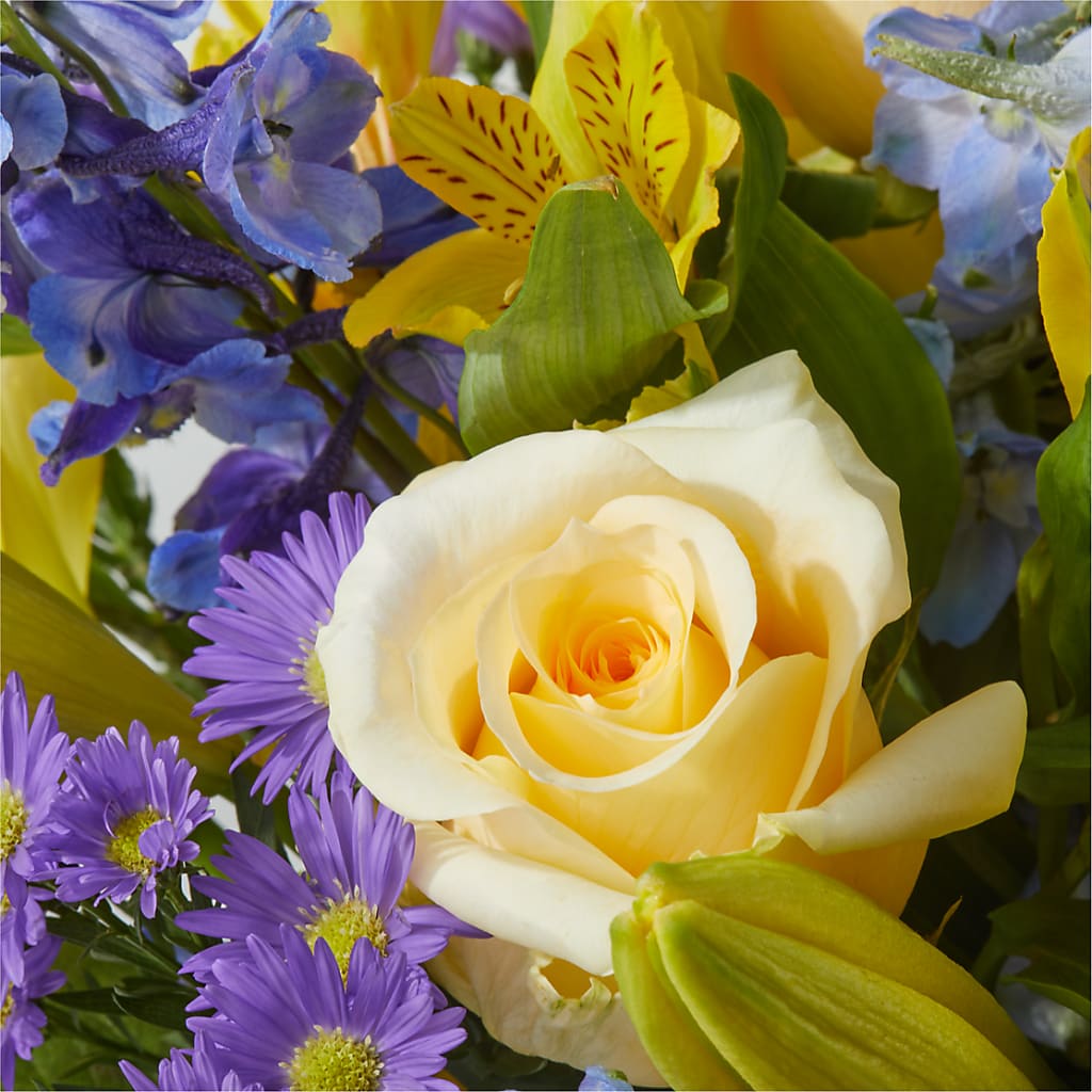 Limoncello Bouquet –  Garden Of Eden Florist, San Antonio TX