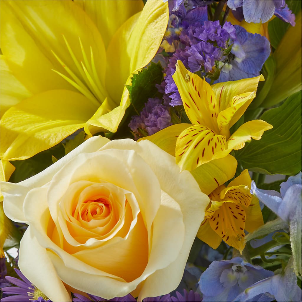 Limoncello Bouquet –  Garden Of Eden Florist, San Antonio TX
