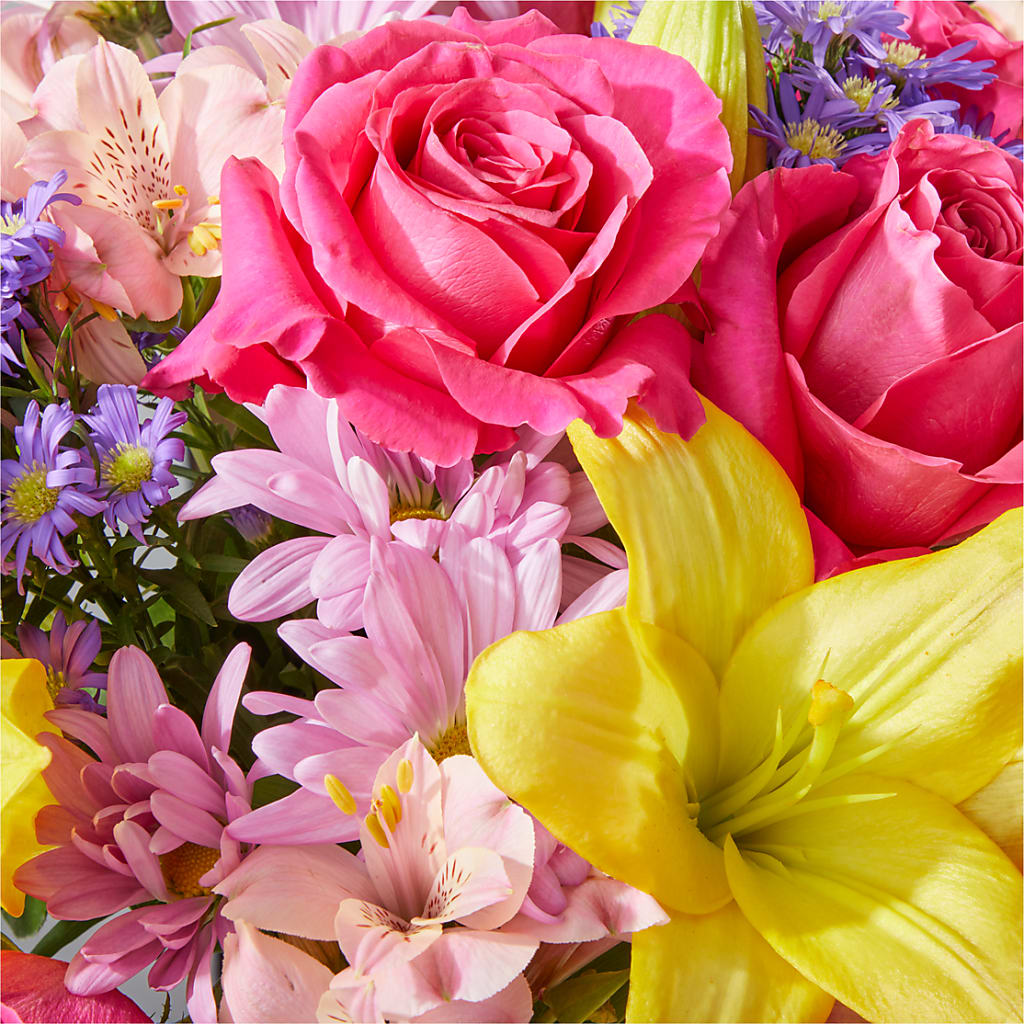 Sprinkles Bouquet –  Garden Of Eden Florist, San Antonio TX