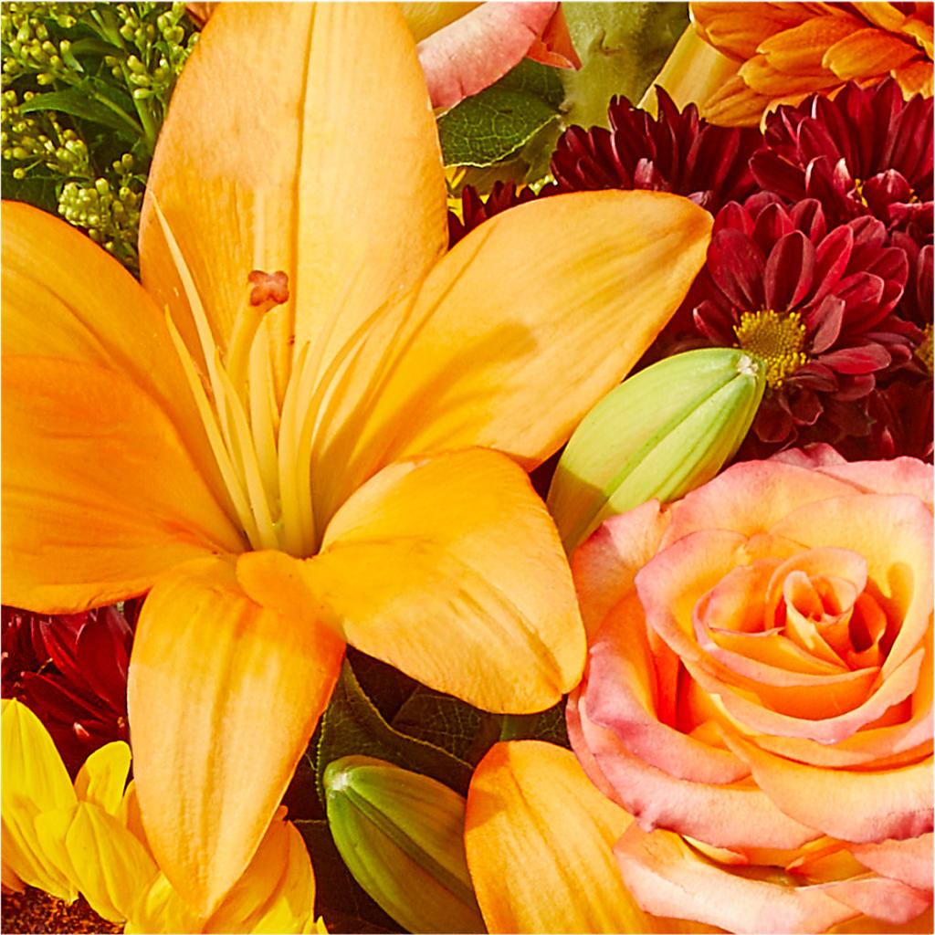Seasons Change Bouquet –  Garden Of Eden Florist, San Antonio TX