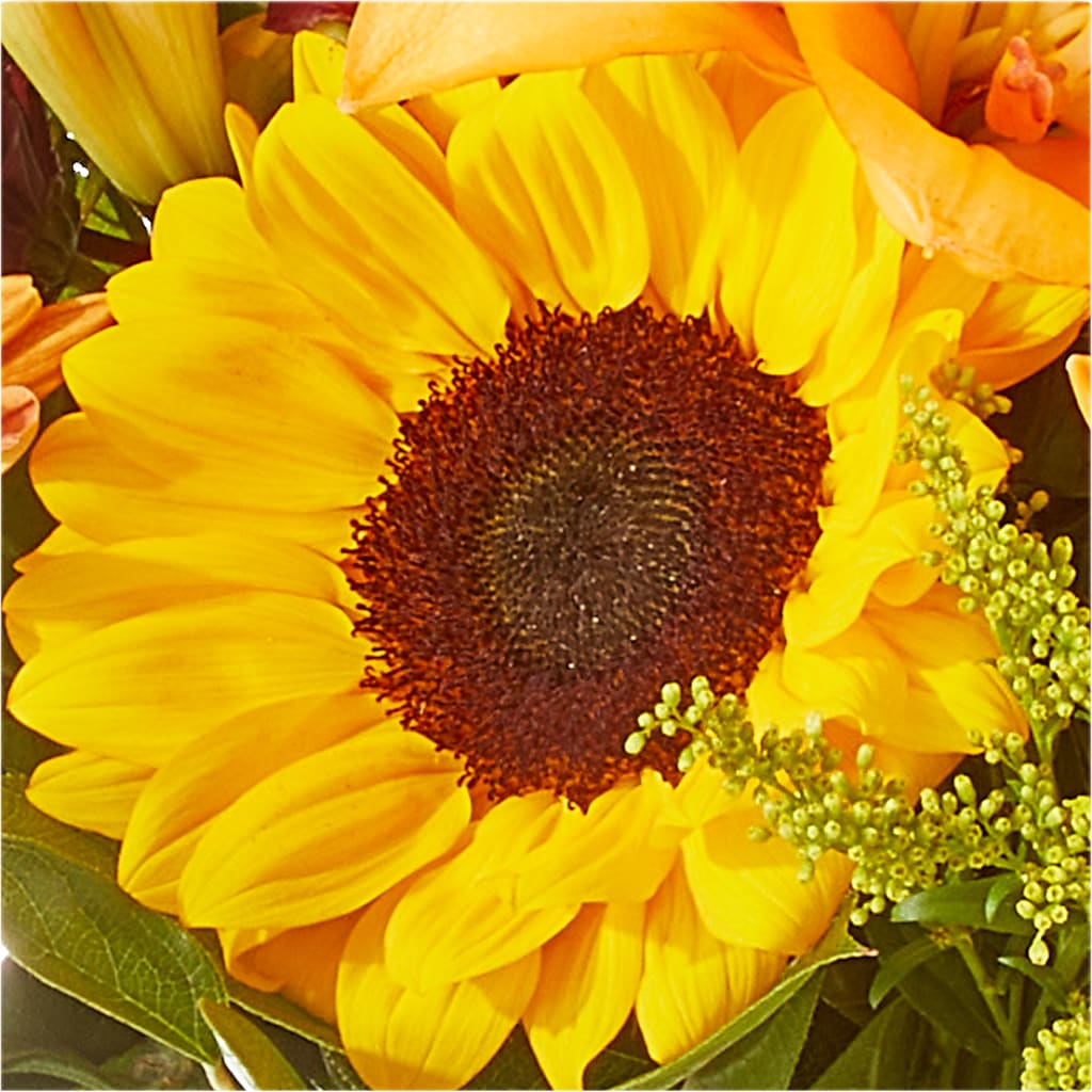 Seasons Change Bouquet –  Garden Of Eden Florist, San Antonio TX