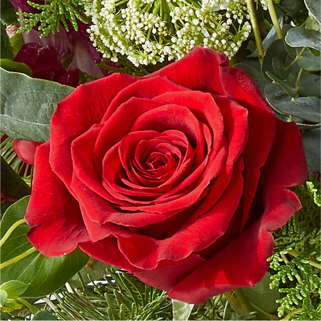 Cranberry Fizz Bouquet –  Garden Of Eden Florist, San Antonio TX