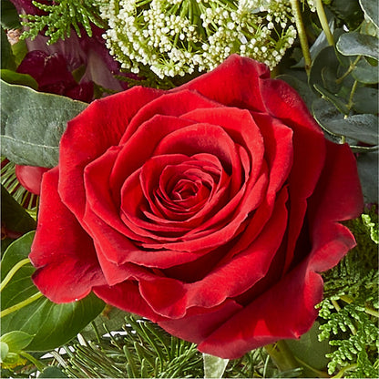 Cranberry Fizz Bouquet –  Garden Of Eden Florist, San Antonio TX