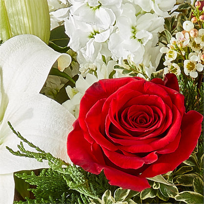 Twinkle Lights Bouquet –  Garden Of Eden Florist, San Antonio TX