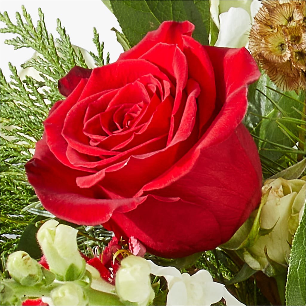 Deck the Halls Bouquet –  Garden Of Eden Florist, San Antonio TX