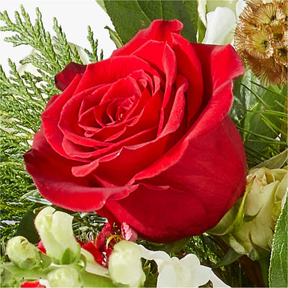 Deck the Halls Bouquet –  Garden Of Eden Florist, San Antonio TX