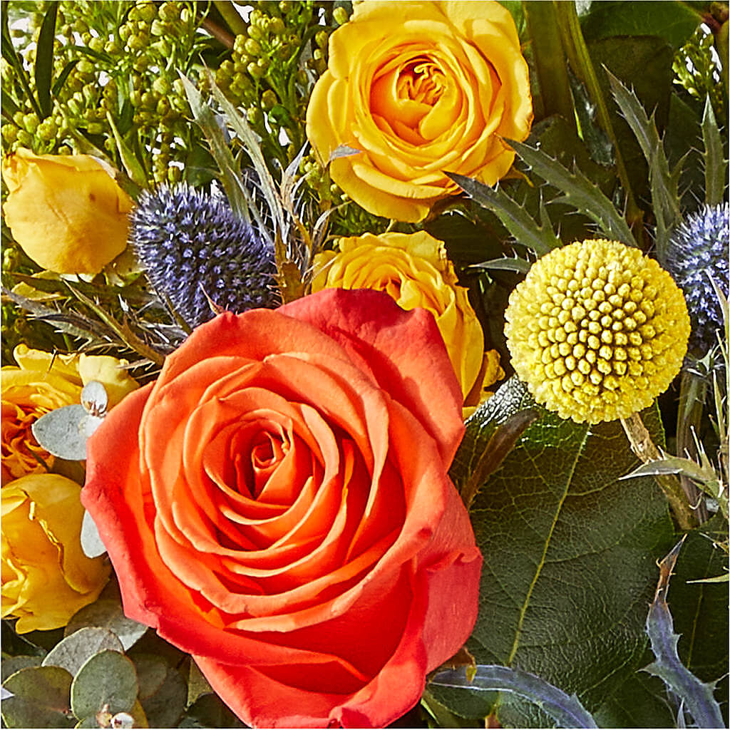 Disco Bouquet –  Garden Of Eden Florist, San Antonio TX