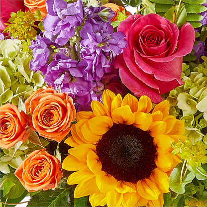 Vibrant Greetings Bouquet –  Garden Of Eden Florist, San Antonio TX