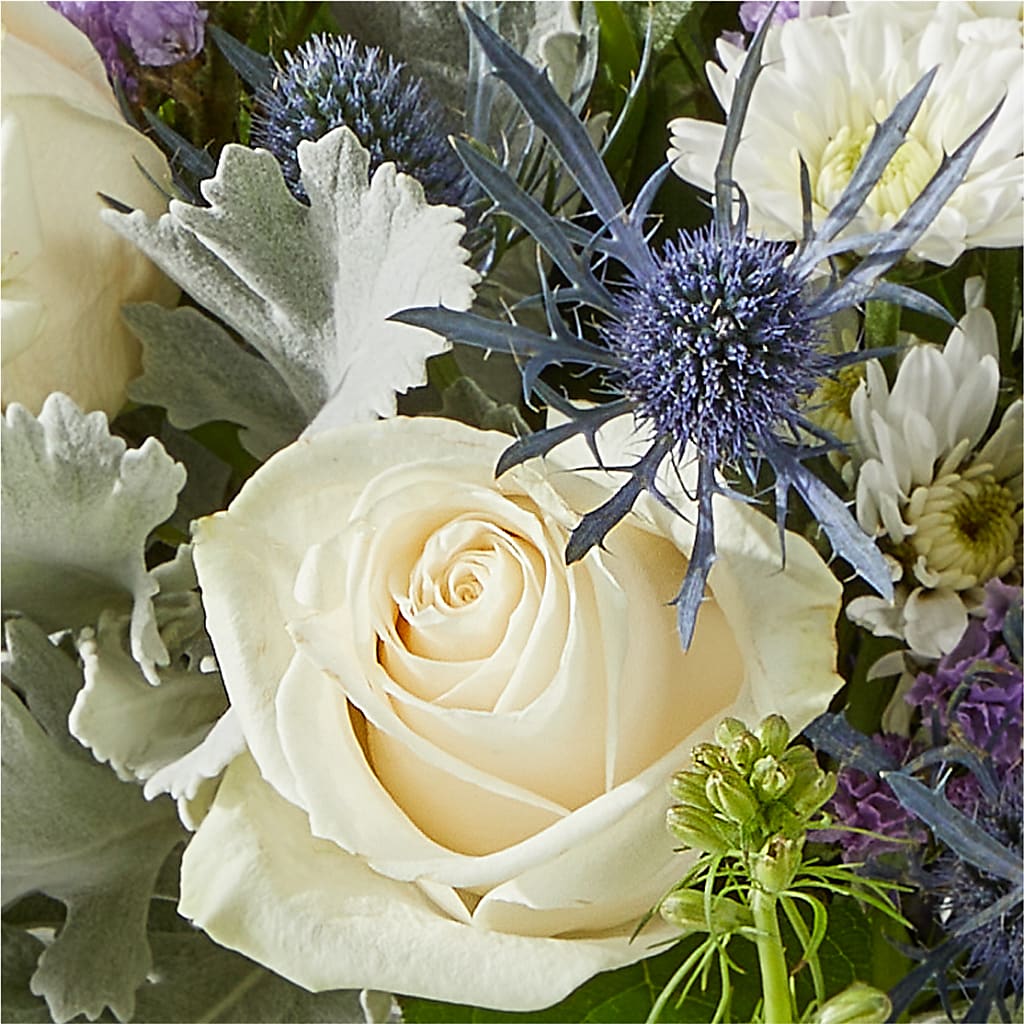 Shooting Star Bouquet –  Garden Of Eden Florist, San Antonio TX