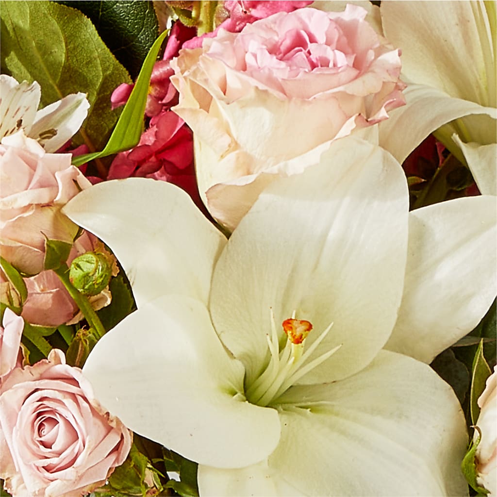 Ballet Slippers Bouquet –  Garden Of Eden Florist, San Antonio TX