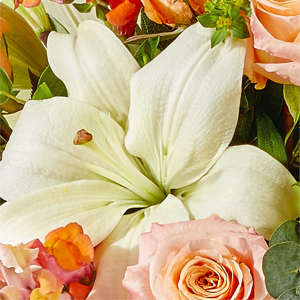 Grapefruit Splash Bouquet –  Garden Of Eden Florist, San Antonio TX