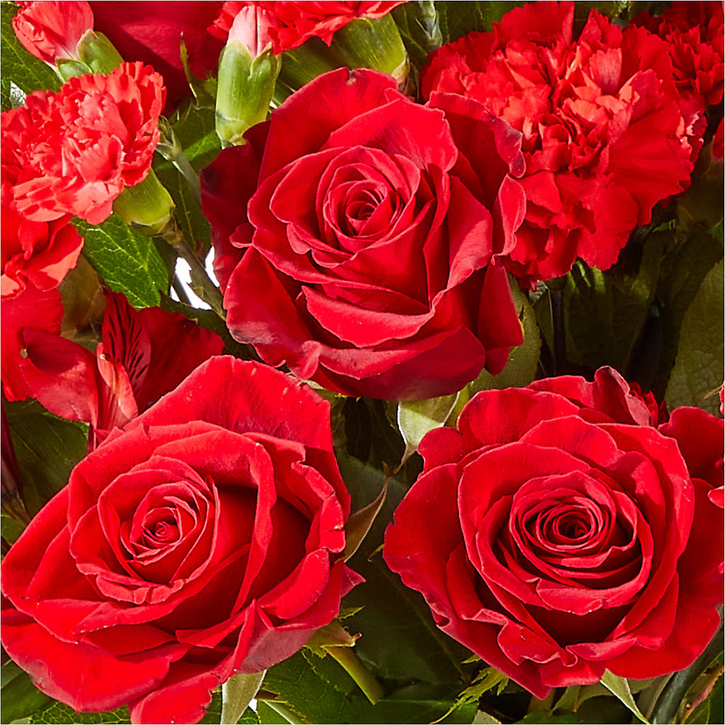 The Heartstrings Bouquet –  Garden Of Eden Florist, San Antonio TX