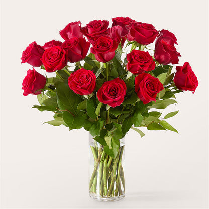 The One Red Rose Bouquet –  Garden Of Eden Florist, San Antonio TX