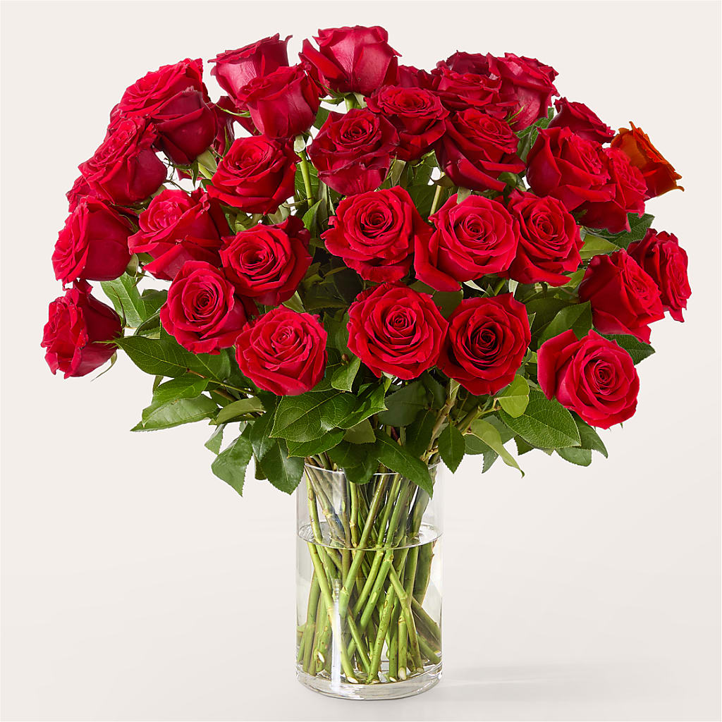 The One Red Rose Bouquet –  Garden Of Eden Florist, San Antonio TX