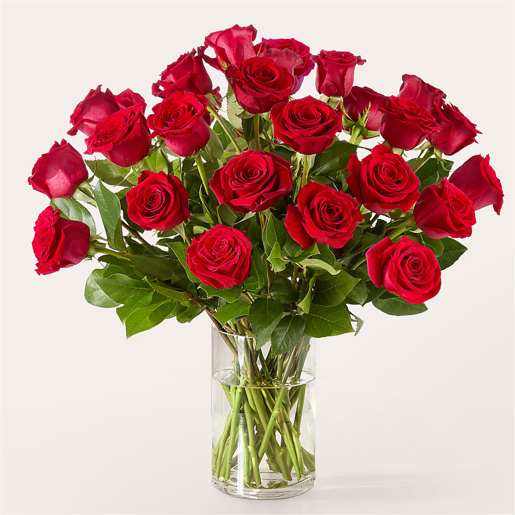 The One Red Rose Bouquet –  Garden Of Eden Florist, San Antonio TX