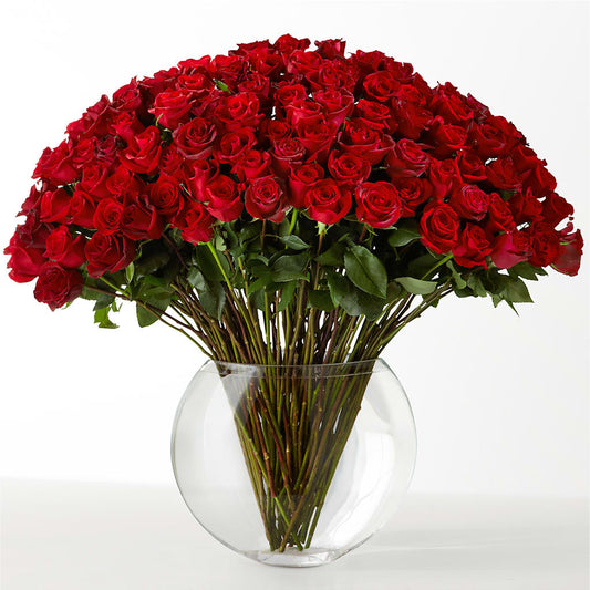 The Idealist –  Garden Of Eden Florist, San Antonio TX