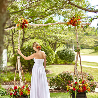 Arbor of Love Archway –  Garden Of Eden Florist, San Antonio TX