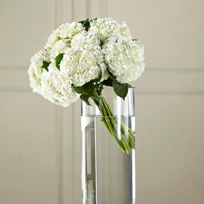 White Hydrangea Hand-Tied Bouquet –  Garden Of Eden Florist, San Antonio TX
