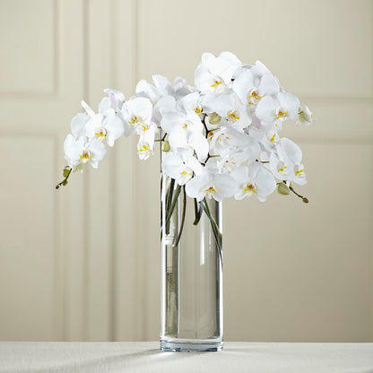 White Phalaenopsis Bouquet –  Garden Of Eden Florist, San Antonio TX