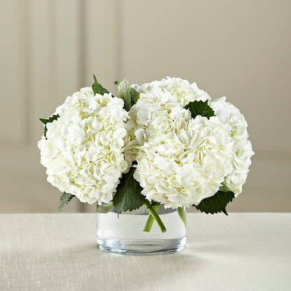 White Hydrangea Bouquet –  Garden Of Eden Florist, San Antonio TX