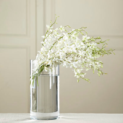 White Dendrobium Bouquet –  Garden Of Eden Florist, San Antonio TX
