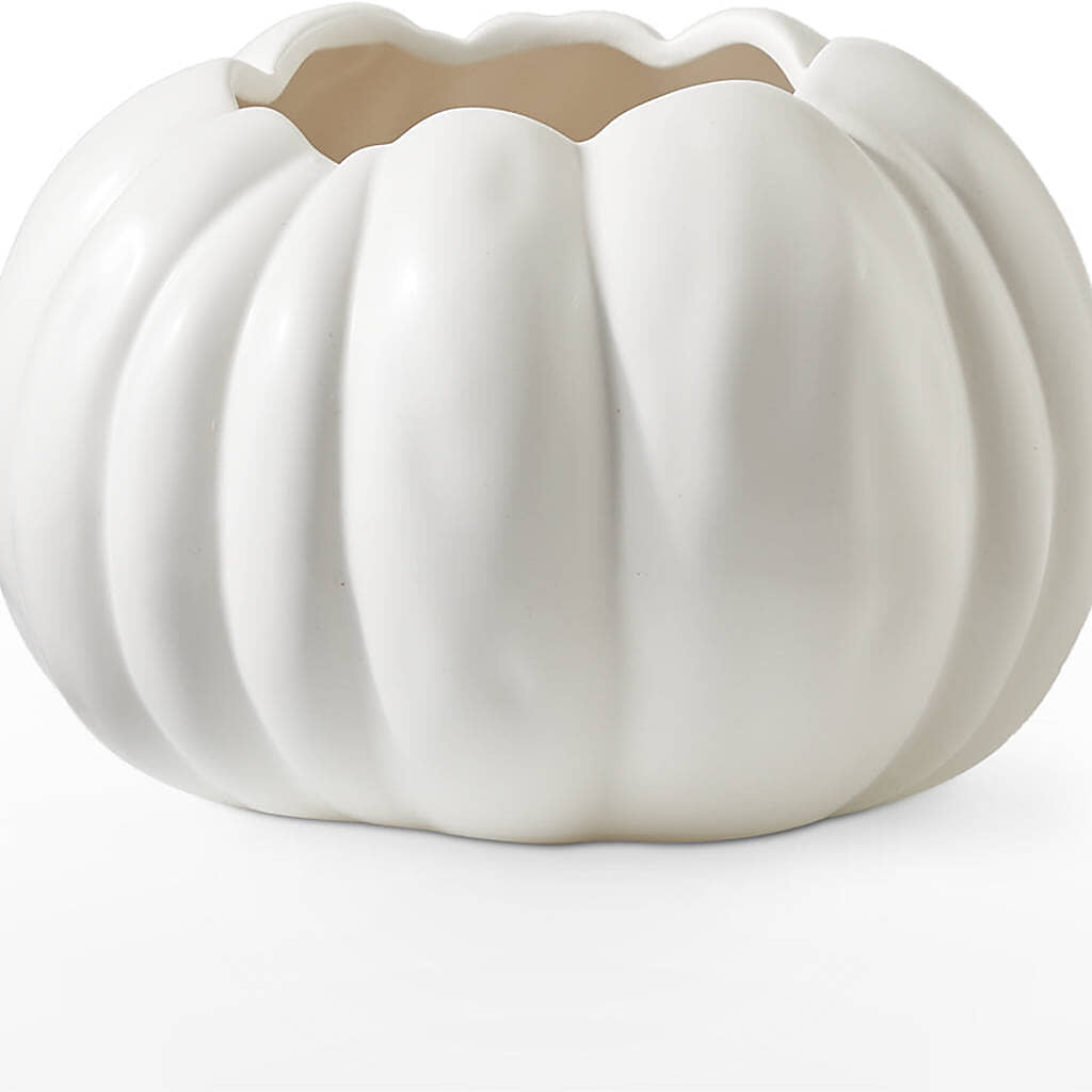 Pumpkin to Talk About Bouquet –  Garden Of Eden Florist, San Antonio TX
